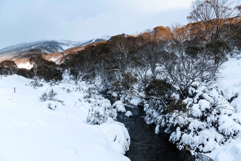 Thredbo alpine property exterior