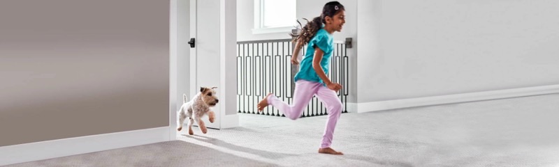 Chem-Dry carpet, rug and upholstery cleaning experts