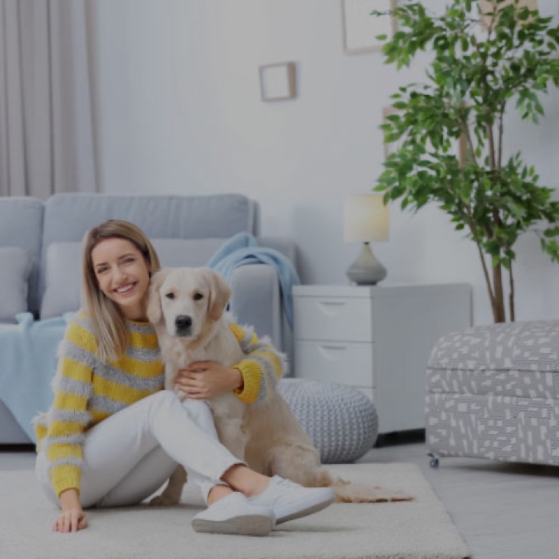 Professional carpet cleaning service
