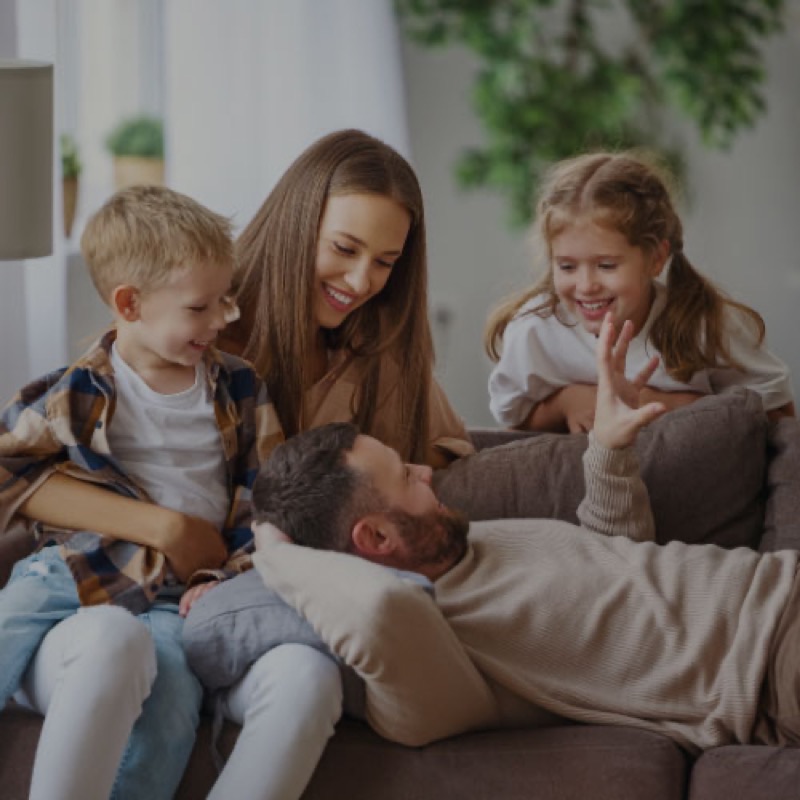 Upholstery cleaning service