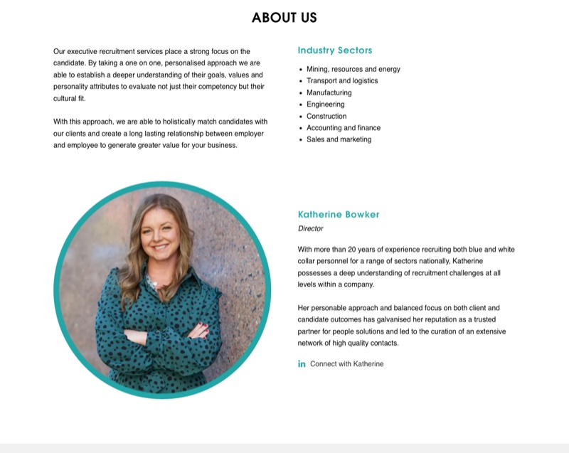 The Next Executive about section with director profile and industry sectors