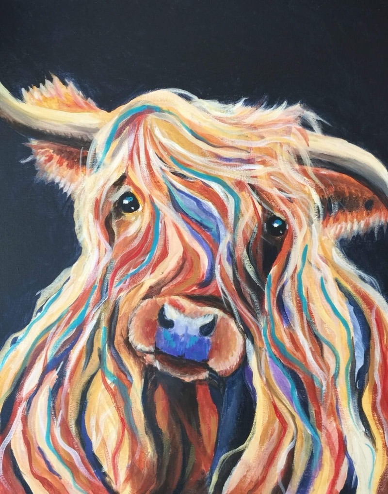 Highland Cow, a Paint Pinot session artwork