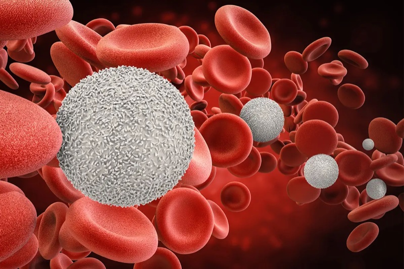 Red blood cells illustration from the Resonance Health website